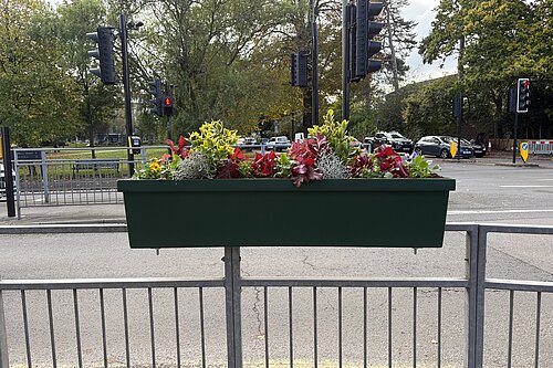 Photo of flower baskets