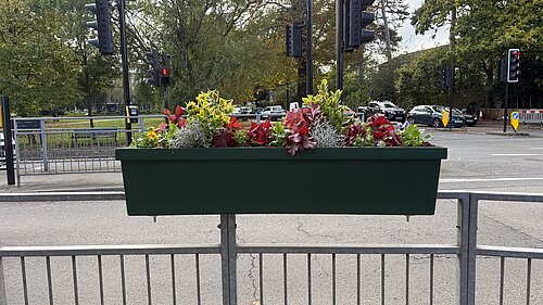 Photo of flower baskets